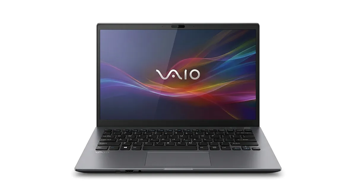 Ремонт ноутбуков Vaio в Нижнем Новгороде