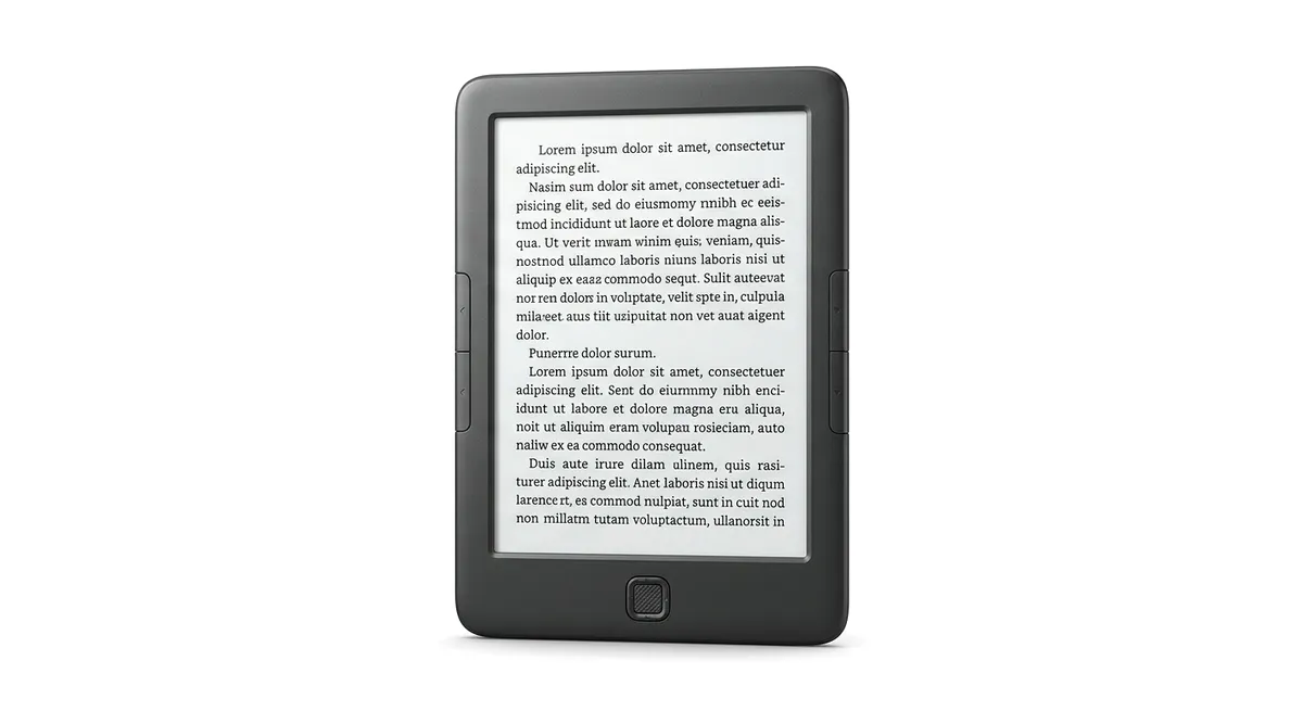 Ремонт электронных книг Ritmix в Нижнем Новгороде