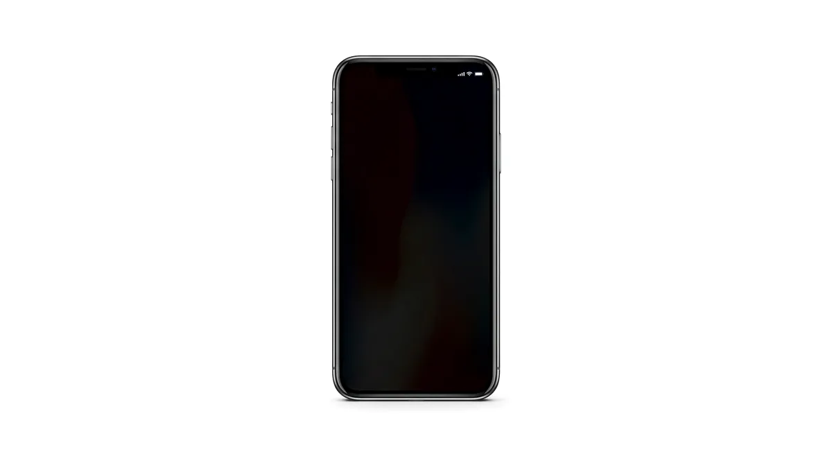 Ремонт iPhone X в Нижнем Новгороде