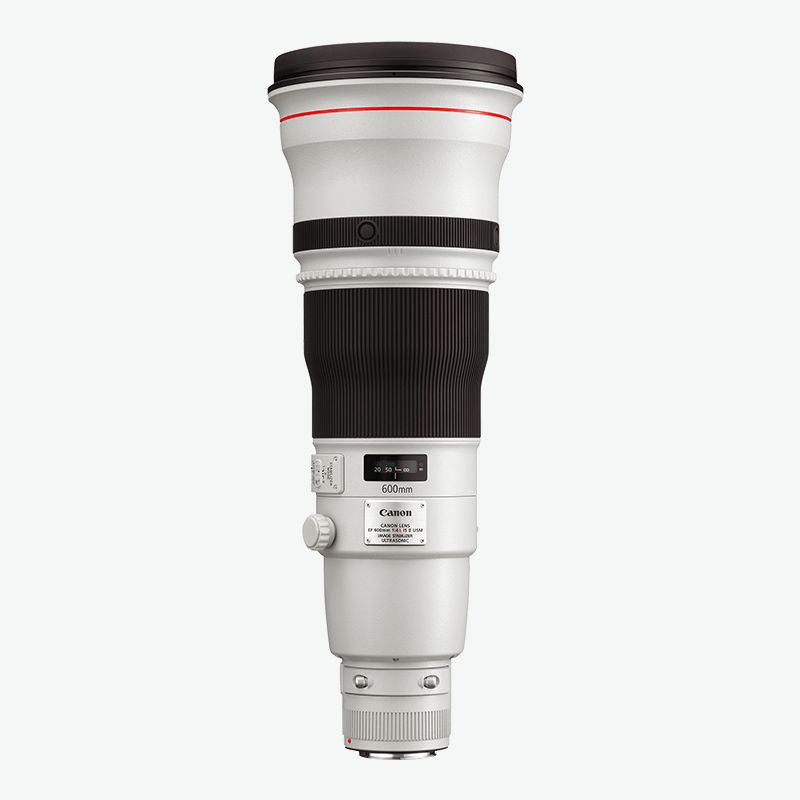 Canon EF 600mm f 4L IS II USM